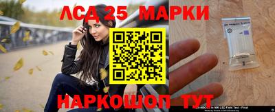 гидра Шахты