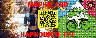 гидра Шахты
