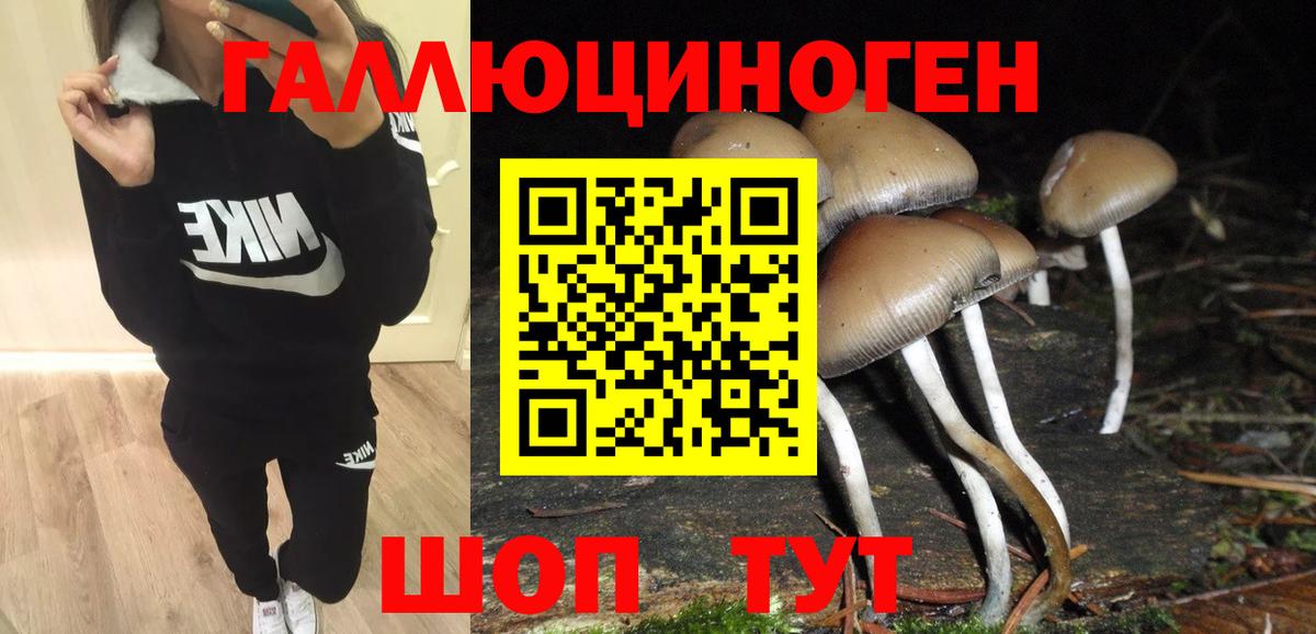 Галлюциногенные грибы прущие грибы Назрань